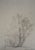Alberto Giacometti, Arbres, Lithograph For Sale
