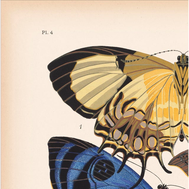 We are thrilled to present the exquisite Séguy Butterfly #04, available exclusively on Chairish, in the standard...