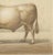 Borie, Charolais Bull, French Cattle Breed, 1863, Chromolithograph For Sale - Image 6 of 9
