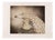 Benito Trolese, Eagle and Horse, 1990s, Etching For Sale
