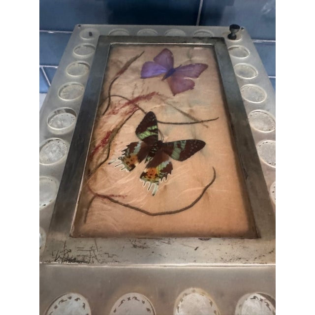 Vintage Lucite Scientific Display Case Seed Collection + Specimen Tray Notes For Sale - Image 4 of 17
