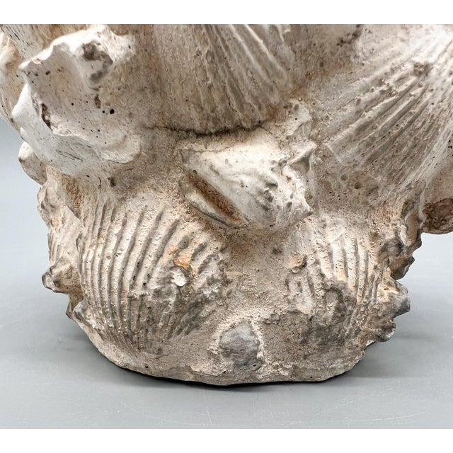 Vintage Coquillage Cast Concrete Shell Planter - Coastal, Grotto, Organic Modern, Architectural, European Cottage For Sale In Houston - Image 6 of 10