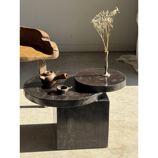 A brown petrified wood coffee table composed of three solid elements: a cubic base and two overlapping, offset circular...