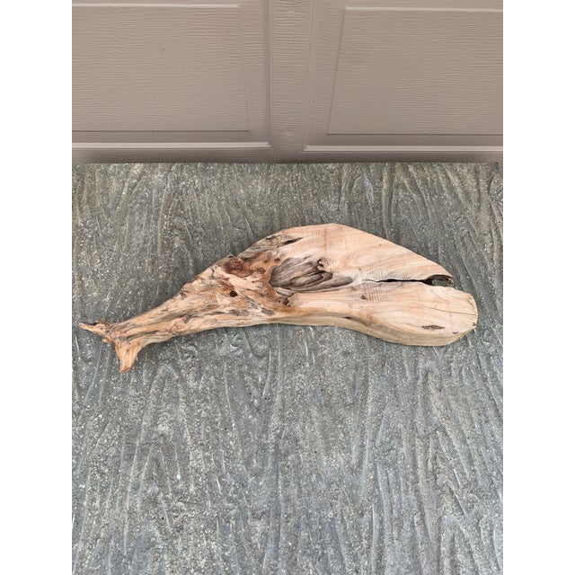 Vintage Folk Art Hand Carved Driftwood Whale Serving Tray For Sale - Image 10 of 10