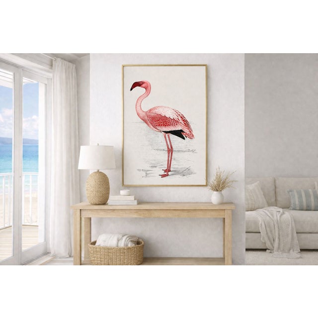 Lesser Flamingo by C. G. Finch-Davies, Vintage Reproduction Bird Art Print, 26″ × 40″ For Sale - Image 4 of 8