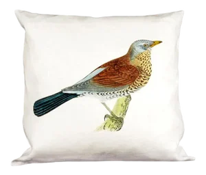 Thrush Pillow