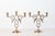 Brass Brass Peacock Three-Arm Candelabras With Pierced Filigree For Sale - Image 8 of 12