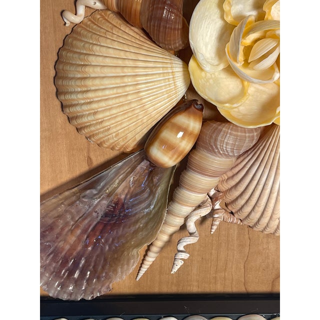 Tan Gorgeous Sea Shell Natures Beauty Wall Plaque by Elia For Sale - Image 8 of 8