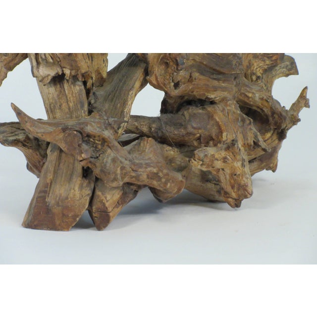 Brown 1960s Drift Wood Lamp For Sale - Image 8 of 9
