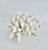 Chinoiserie Natural Pacific Elk Coral Coastal Home Decor For Sale - Image 3 of 8