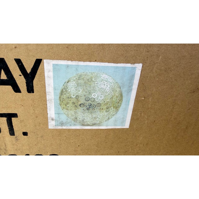 Shell Worlds Away Croc Capiz Shell 20” Round Ball Pendant Light For Sale - Image 7 of 7