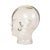 Heavy Glass Head Display Mannequin for Headphones, 1960s For Sale - Image 12 of 16