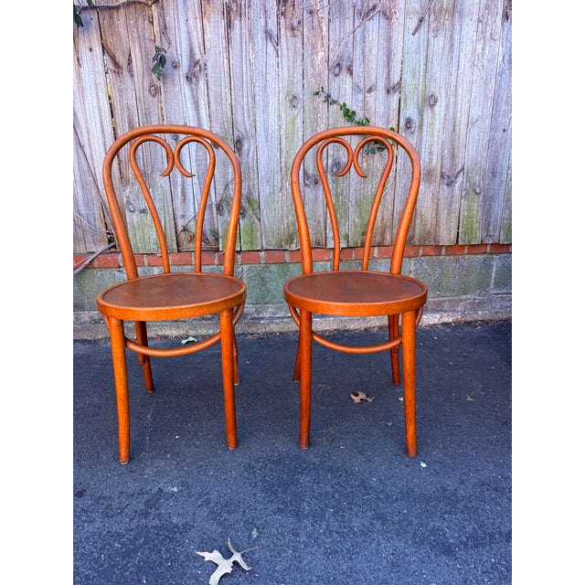 Mid 20th Century Pair of Bistro Style Bentwood Dining Chairs Made in Romania For Sale - Image 12 of 15