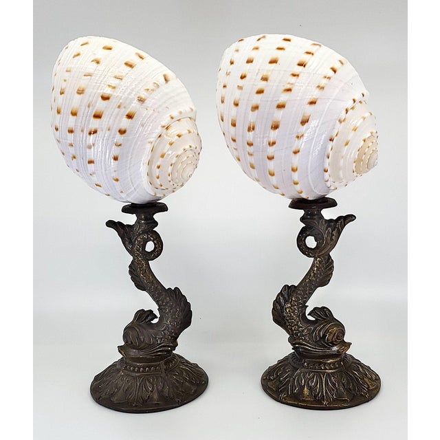 Sculpture Pair Seashells Shells & Antique Koi For Sale In Miami - Image 6 of 14