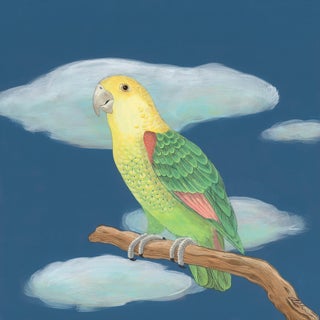“The Feather Forecast” Surrealism Parrot Painting Art by Allison Cosmos For Sale