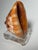 Coastal Red Helmet Tabletop Shell With Lucite Stand For Sale - Image 9 of 11