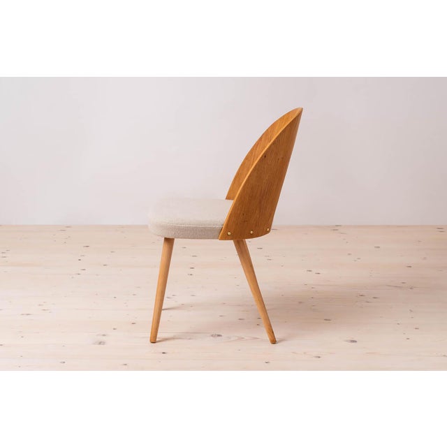 Mid-Century Dining Chairs attributed to A. Suman, 1960s, Set of 12 For Sale - Image 12 of 17