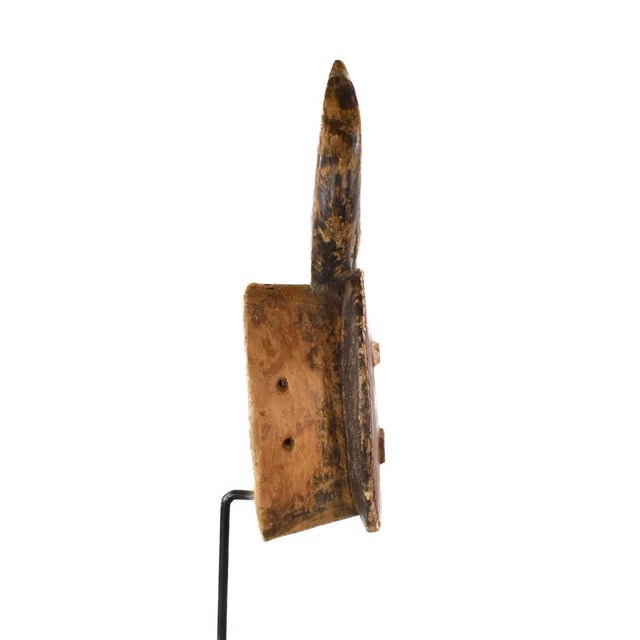 The Baule culture boasts a diverse array of masks, from detailed portrait pieces to grand headpieces representing animals...