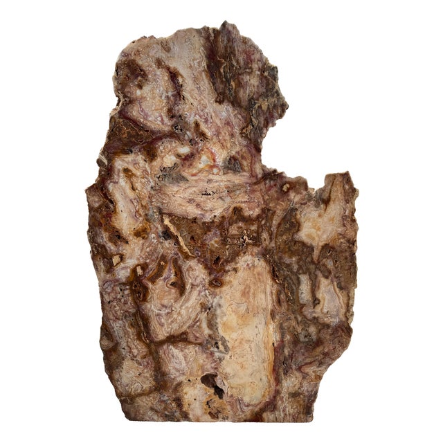 Red Jasper Stone Sculpture by Xyleia Petrified Wood For Sale