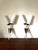 Large Vintage Double Wall Lights from Arlus, 1950s, Set of 2 For Sale - Image 3 of 9