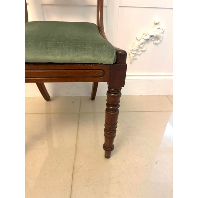 Green Antique Regency Mahogany Dining Chairs, 1830, Set of 8 For Sale - Image 8 of 18