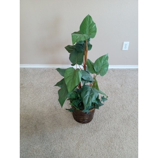 GORGEOUS Faux Alocacia Large Foliage 33" Tall Plant in Wicker Basket The product is a stunning Faux Alocacia plant...