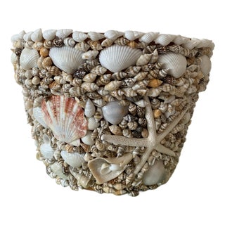 Shell Encrusted Terracotta Cachepot For Sale