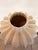 Contemporary sculptural vase featuring a soft ivory finish and a distinctive fluted silhouette with organic, carved...