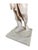 Diana De Gabios, Marble Sculpture, 19th Century For Sale - Image 6 of 18