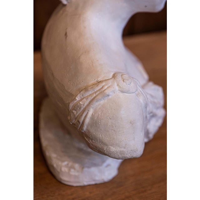 Italian Bust of a Woman Wearing a Creased Dress with Fibula, 20th Century For Sale - Image 9 of 10