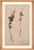Natural pressed flower herbariums that are originals dating back between 1890 and 1950. Hand pressed in Sweden. Note: Each...