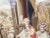 19th Century European Needlepoint of a Biblical Scene For Sale - Image 5 of 6