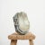 Industrial Wardle Prismalux Bulkhead Wall Light, 1950s For Sale - Image 11 of 11