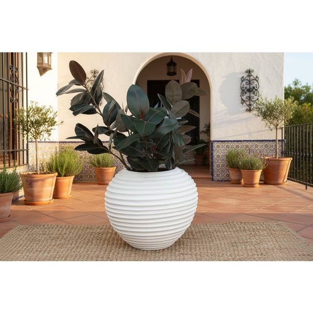 This striking planter is a modern nod to classical Greek forms, updated with a clean, contemporary texture. Shaped like a...