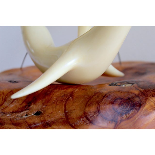 Ivory Vintage Mid-Century Modern John Perry Style Pellucida Seals on Burlwood Sculpture For Sale - Image 8 of 17