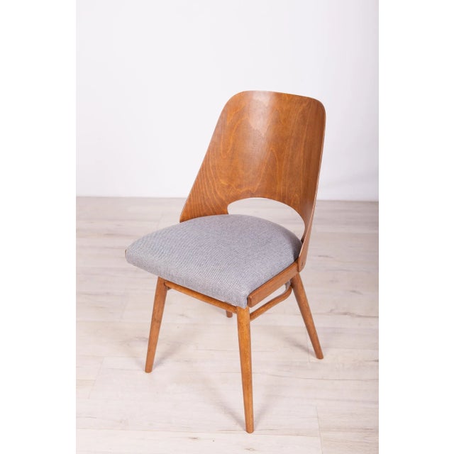 Model Lollipop Dining Chairs from Tatra, 1960s, Set of 4 For Sale - Image 17 of 17