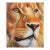 Contemporary"The Watchful King" Contemporary Wildlife Painting by Edison Byarugaba, Framed For Sale