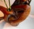 Wood Juniper Wood Bud Vase For Sale - Image 7 of 12