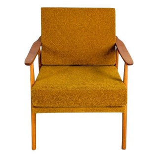 Mid-Century Modern Tuclé Easy Chair For Sale