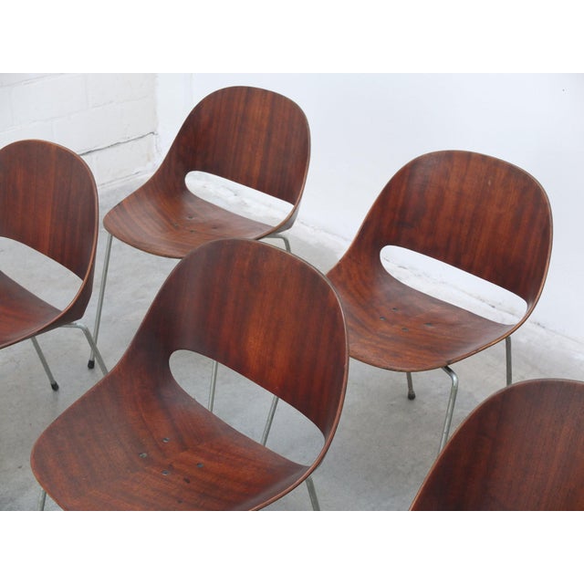 Sl58 Chairs by Léon Stynen, 1958, Set of 8 For Sale - Image 5 of 18