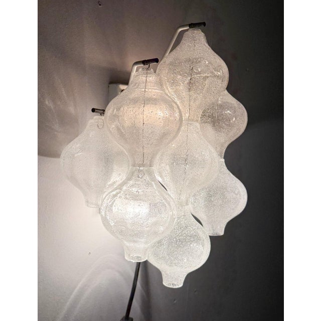 Vintage Tulipan Wall Lights from Kalmar Franken KG, Austria, 1960s, Set of 2 For Sale - Image 14 of 18