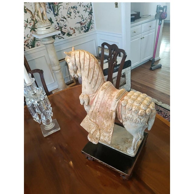 Asian Tang Dynasty Terracotta Pottery Parade Horse, For Sale - Image 3 of 10