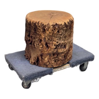 Organic Modern Live Edge Tree Side Table/Stool For Sale