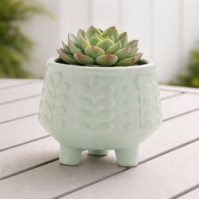 Kenneth Ludwig Chicago Footed Ceramic Leaf Pattern Planter (Set of 4) For Sale - Image 4 of 4