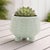 Kenneth Ludwig Chicago Footed Ceramic Leaf Pattern Planter (Set of 4) For Sale - Image 4 of 4