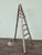 Dilemma Folding Ladder Coat Rack by Piretti for Castilia, 1980s For Sale - Image 9 of 18