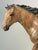 Exquisitely detailed bronze horse sculpture. Limited edition bronze. With proud head held high and mane streaming back,...