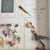 Herbarium Flower Pollination, Germany, 1950s For Sale - Image 4 of 11