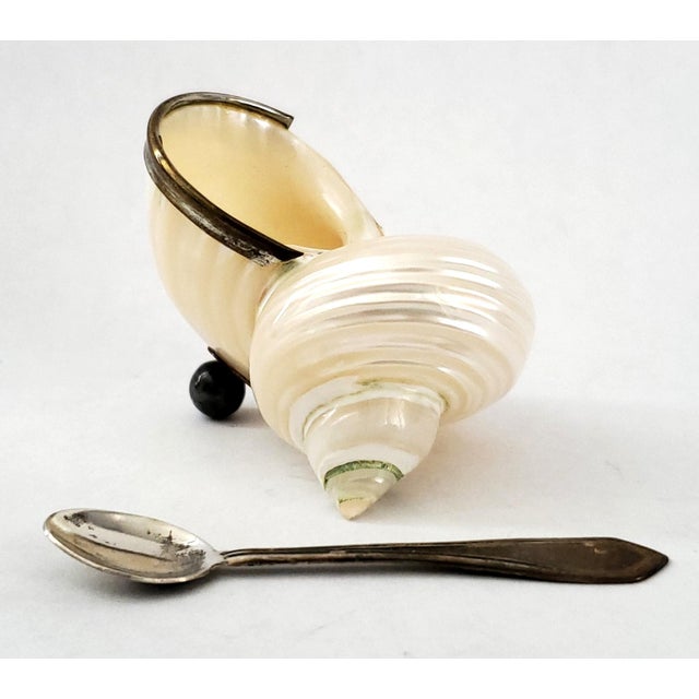 Buccellati Caviar Dish by Scully & Scully Sterling Silver 925 Hallmarked & Spoon Seashell Shell For Sale - Image 4 of 17
