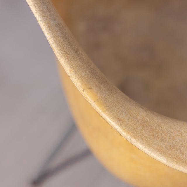 1950 First Generation Eames Rope Edge Fiberglass Armchair Attributed to Herman Miller For Sale - Image 10 of 18